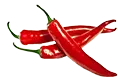 Spice Circle Desi Tadka™ 2